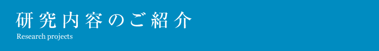 研究内容のご紹介。Research projects。